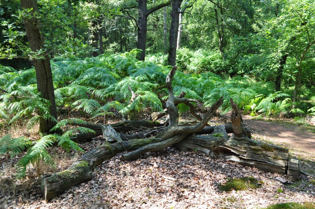 Gasterij Leyduin Villa Vogelenzang Buitenkant foto